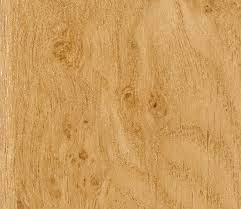 irish-oak-conservatory-roof